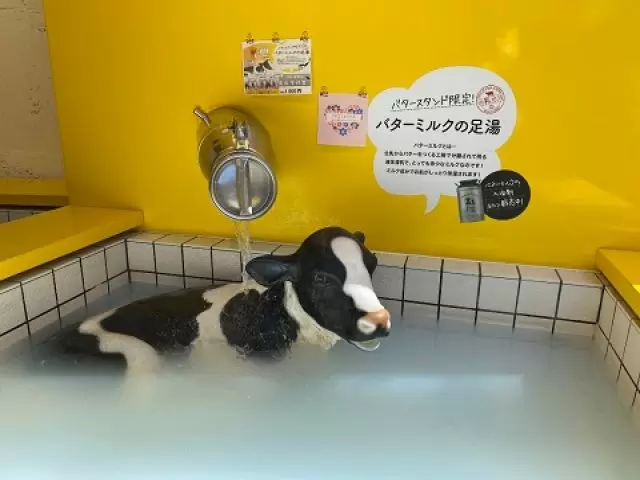 コンビニ/スーパー/薬局もあり生活環境抜群によいです♪美味しいご飯屋さんも多いです！！