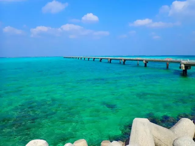 これがウワサの「ミヤコブルー」です！
目に焼き付けてください！！