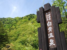 旅館でお仕事してみたいけど長期だと不安‥という方！短期からお仕事はじめてみませんか？☆
