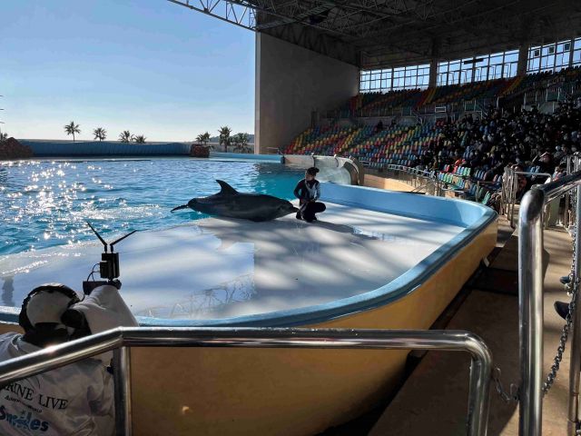 アドベンチャーワールドも欠かせないですね♪