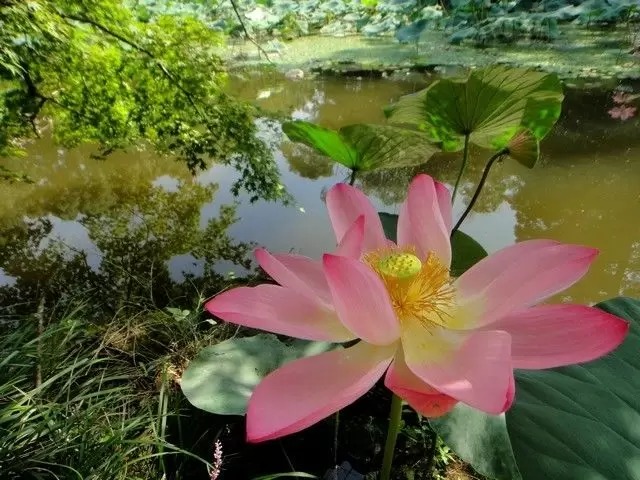 周辺は大自然です☆★ここでしかみれない景色もたくさんあるので写真好きにはおススメ!!