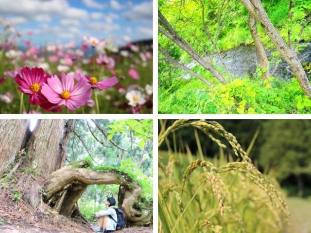 周辺は大自然です☆★ここでしかみれない景色もたくさんあるので写真好きにはおススメ!!