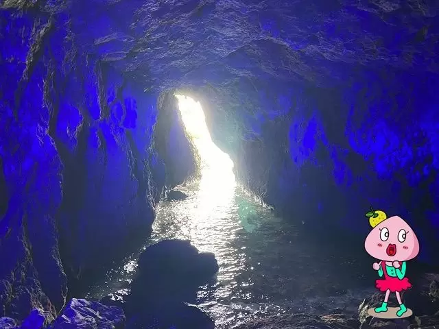 是非言ってみて欲しい青の洞窟♪楽しんじゃおう♪