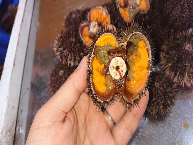 うにがこんなに身近にある環境♪他ではできない経験をここで。