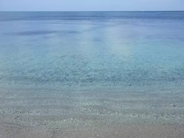 絶景!「花の島」礼文の冬シーズンも体験しよ~!!