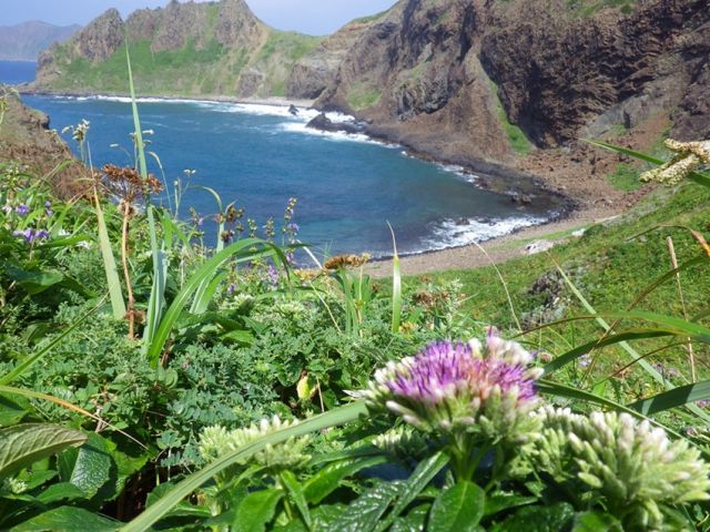 絶景！「花の島」礼文の冬シーズンも体験しよ～！！