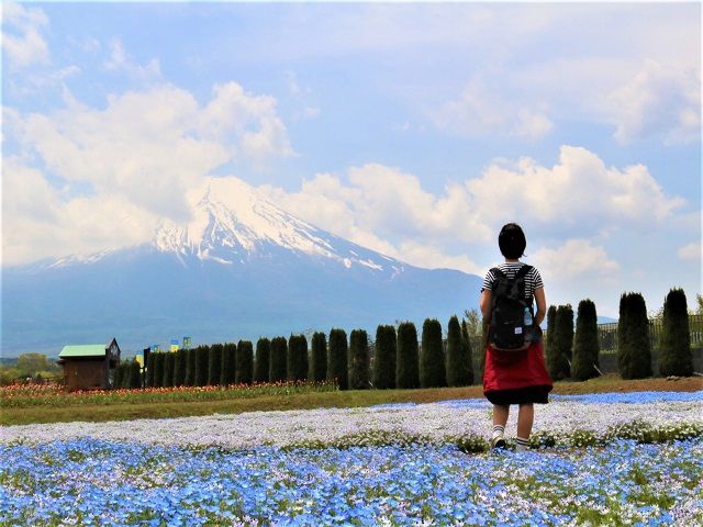 河口湖に臨む富士山は絶景!!
写真は実際に勤務したスタッフさんがとってくれました★