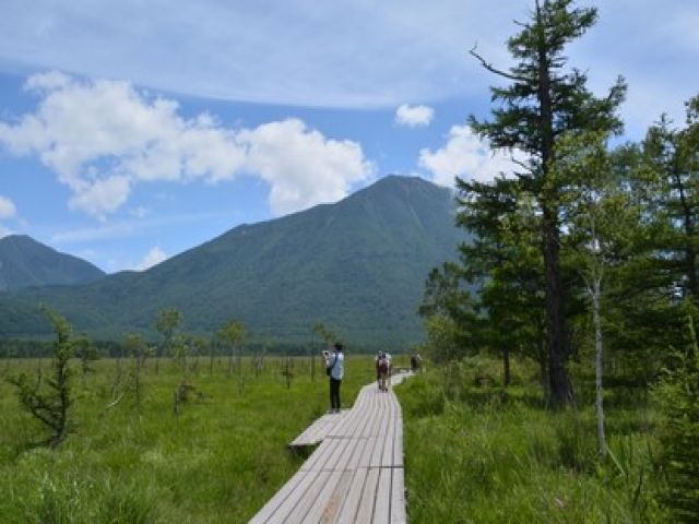奥日光広がる日本有数の大湿原はまさに圧巻です！