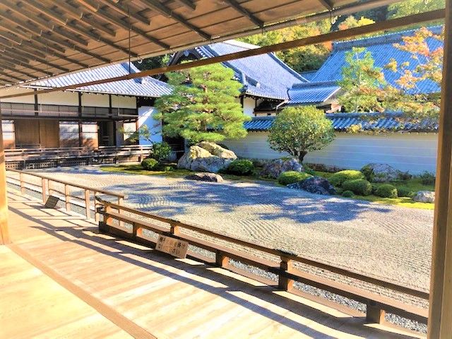 神社仏閣が好きな方にはたまらない光景が広がってます♪
