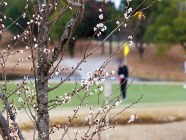 近年はプレイ人口も増加傾向にある人気のゴルフ！未経験の方でも大歓迎です！