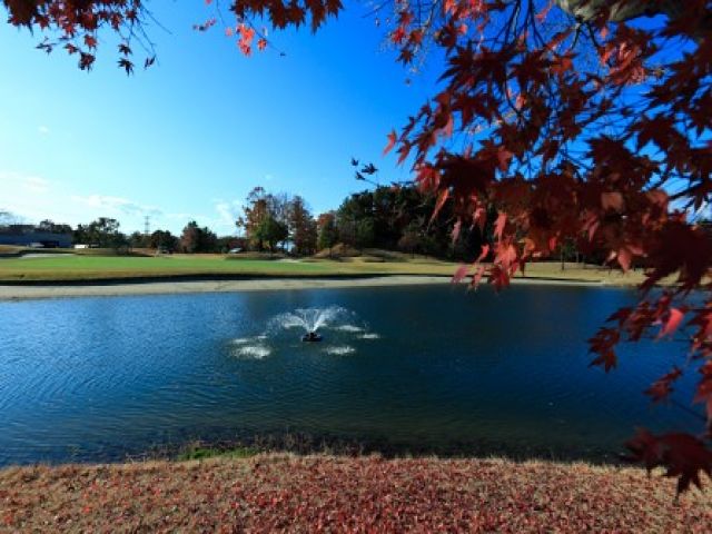 ゴルフの魅力はきれいなコース！四季折々の景色を楽しむともできます！