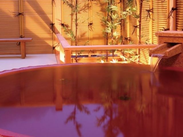 温泉も入れます！