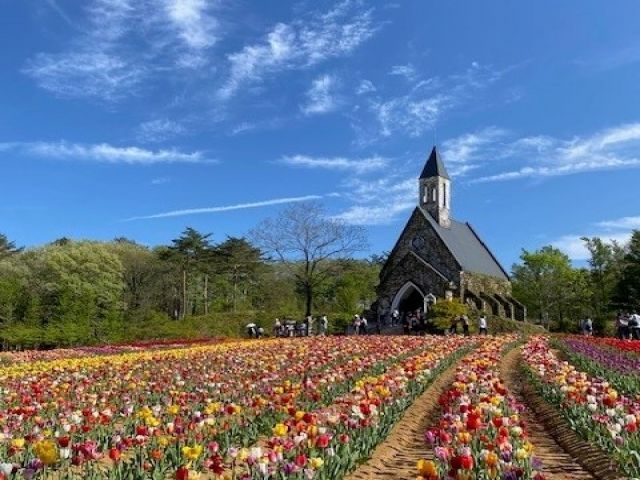 自然豊かで晴れた日はとても気持ちいですよ♪　週末は特に賑やかです！