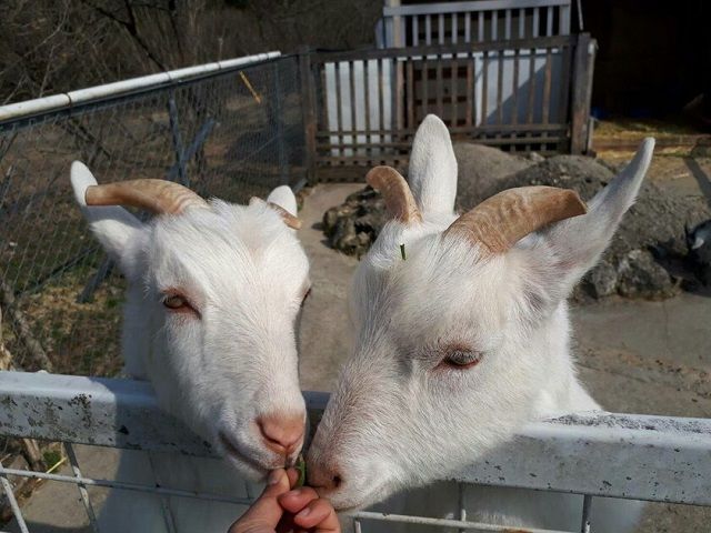 自然に囲まれた環境での御仕事です☆
お休みの日は是非観光も！