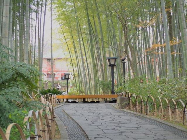 周辺には竹林やおしゃれなカフェも！少し足を延ばしたらアウトレットでお買い物も楽しめます！