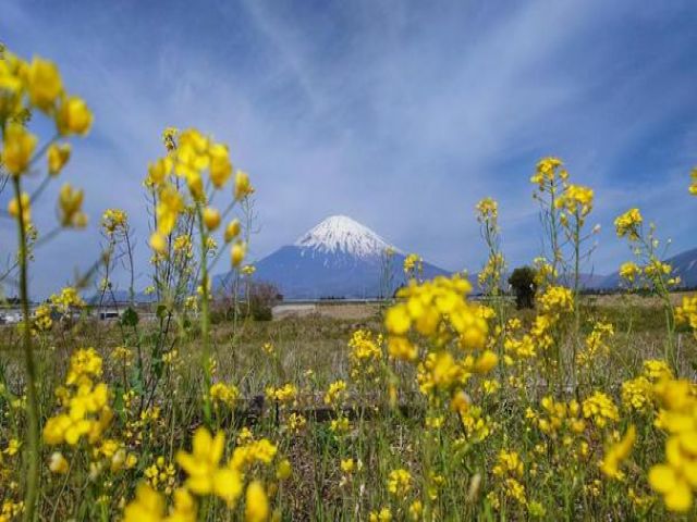 ホテルの住み込みのお仕事がでました！もちろん都内にもスグ出られます！