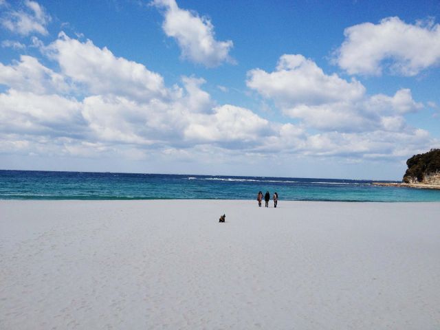 白浜の海は青くて本当にキレイです☆
