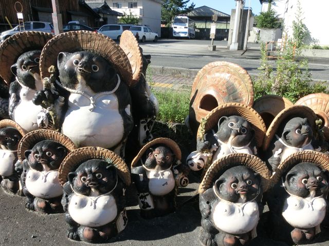 信楽は焼き物の里、、タヌキが一杯です＾＾