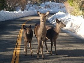 大自然の中で働きましょう。