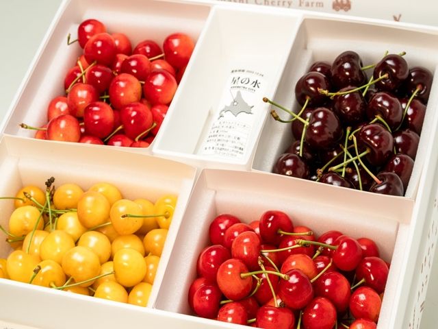 サクランボを実らせるのに大事なお仕事です！