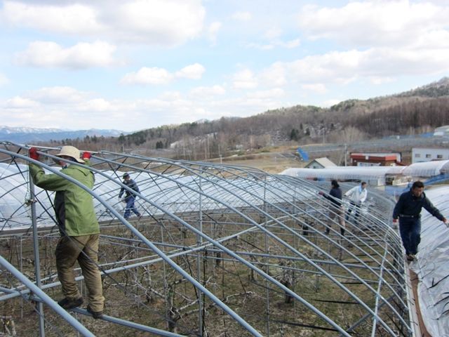 未経験でも受け入れ可能です☆