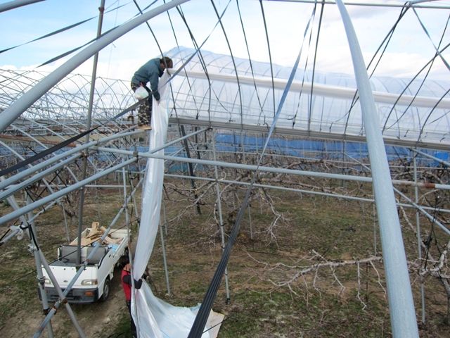 2週間（延長歓迎！！）のアルバイト！