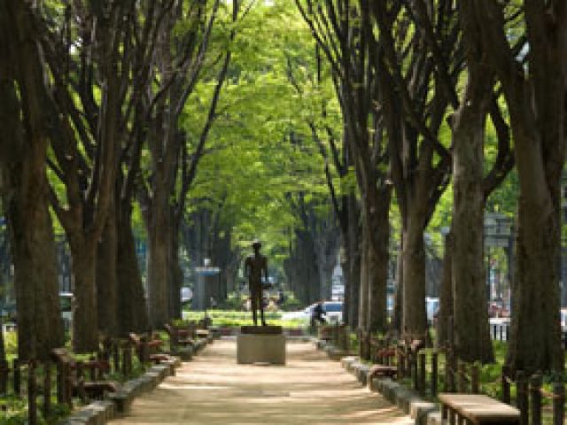 少し歩けば自然もたくさんあるのが仙台の良いところ☆