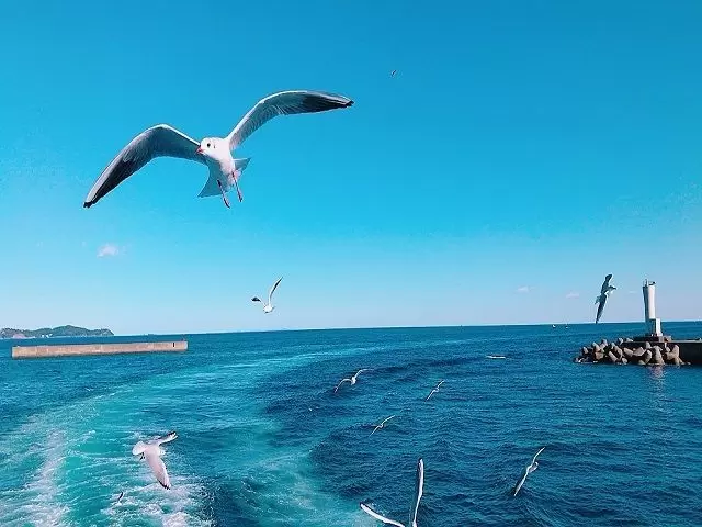 離島「初島」にもホテルがあります！各地に施設がございますので担当までお問い合わせください！
