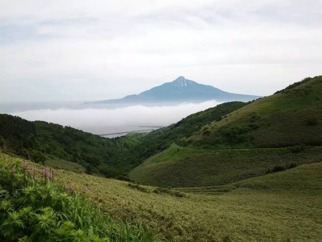 原風景がたくさん残る礼文島。見たことない景色がすぐそこにあります！