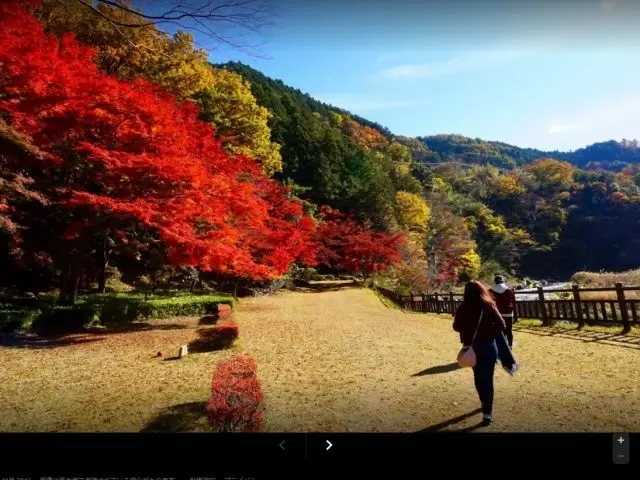 紅葉シーズンも人気なエリアです！