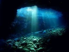 近くにはダイビングスポットも！これからの時期休日も楽しんでください！