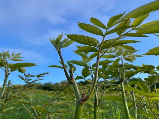 地元の旬の食材にこだわっています。
時期によっては食材の収穫体験もできるかも！？