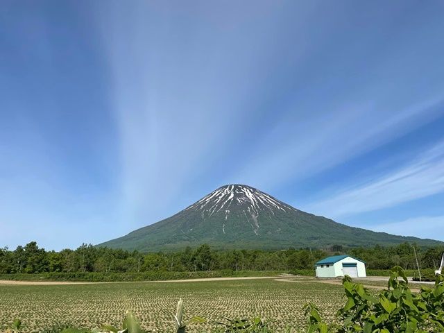お店からは絶景の羊蹄山が望めます☆