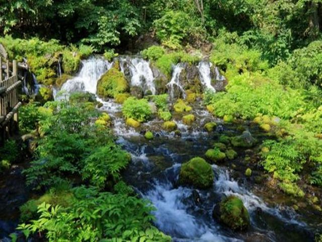 大自然に育まれた湧き水で仕込んだうどんは絶品ですよ
