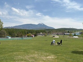 ★貴重な牧場案件★ソフトクリームが絶品なんです！！