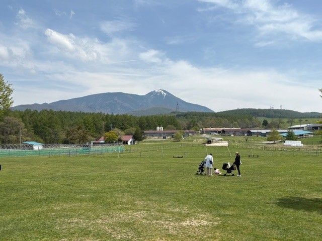 これぞ大自然！牧場！！