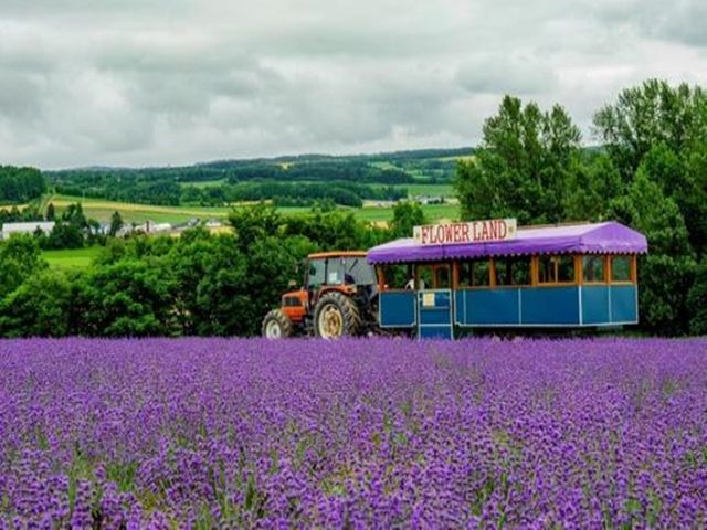 北海道の夏のリゾバでここは外せない！
今しかないお仕事ですよ(*^^*)