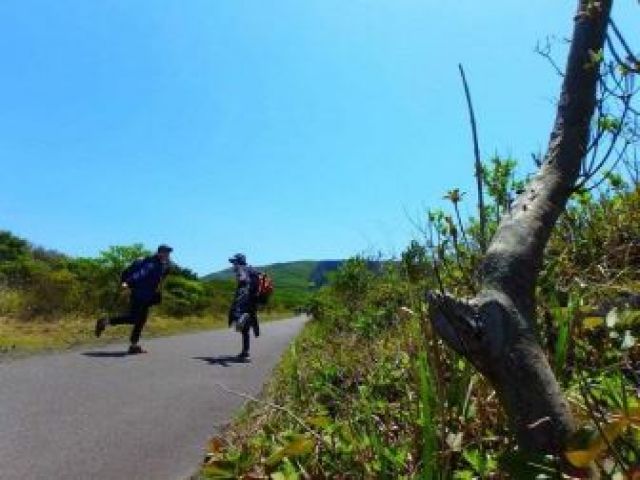 今流行りのトレッキングも楽しめます♪