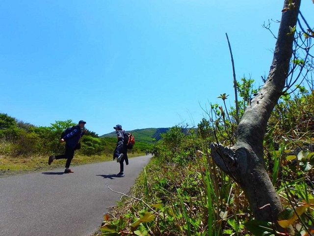 今流行りのトレッキングも楽しめます♪