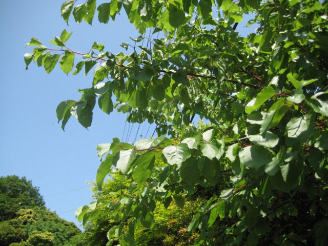 空気がおいしいですよ～～～