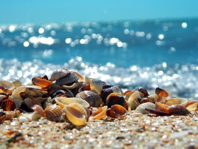 下田と言えば・・・海！！サーフィンスポットもあります◎