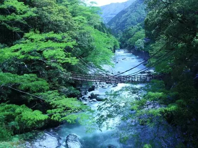 観光名所「かずら橋」
