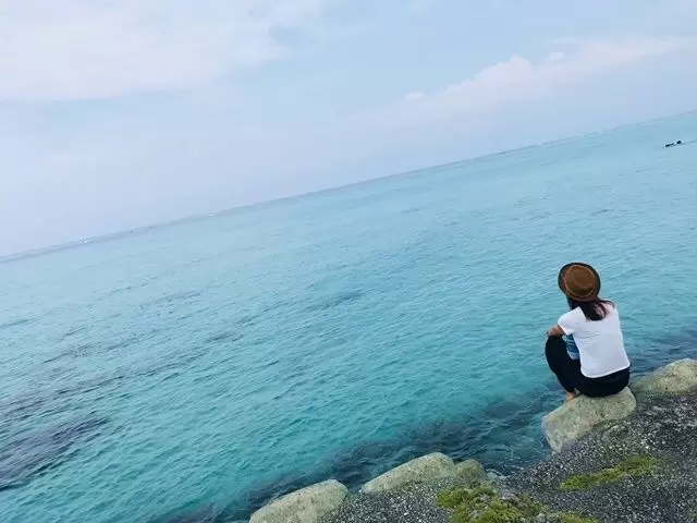 美しいミヤコブルーにうっとり…