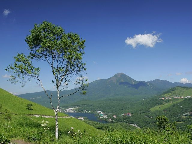 絵葉書みたいな景色を用意してます！