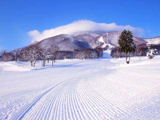 ゲレンデがあなたをお待ちしております！