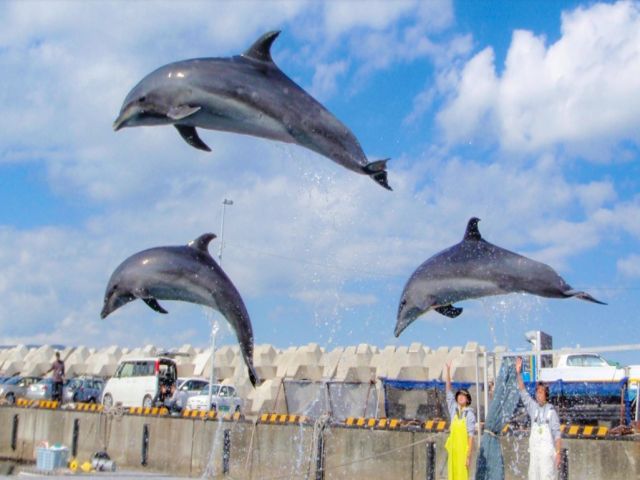 生活環境も便利な伊東で働いてみませんか？