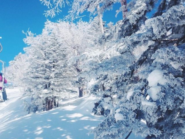 万座温泉スキー場のリフト券も無料で使用できるので
休日にスキーやスノーボードを楽しめます