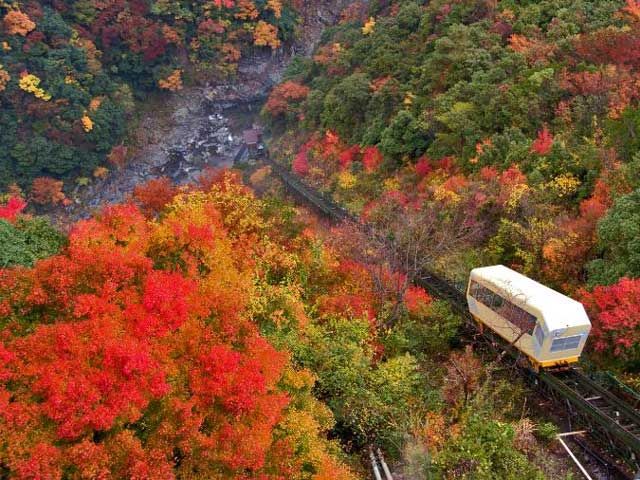 四季折々を堪能できますよ～！！