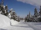 【津南町】中抜け時間滑れる!!リフト券・レンタル無料!!