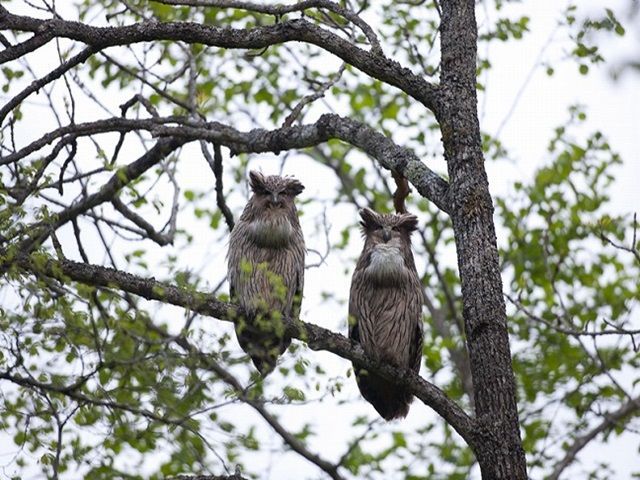 野生生物も多く見られるかも？
